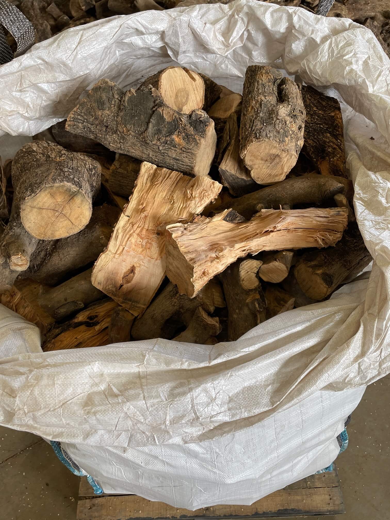 Lena de olivo saca 2 sacos de astillas 4kg saco de pinas 35l ricosan